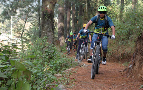 Borra bici 4 doble XC